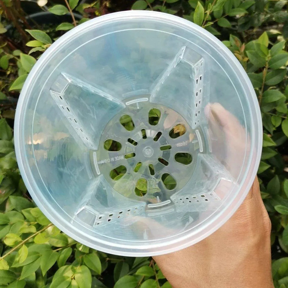 Clear Orchid Pots with Aeration Holes, 10 Pack