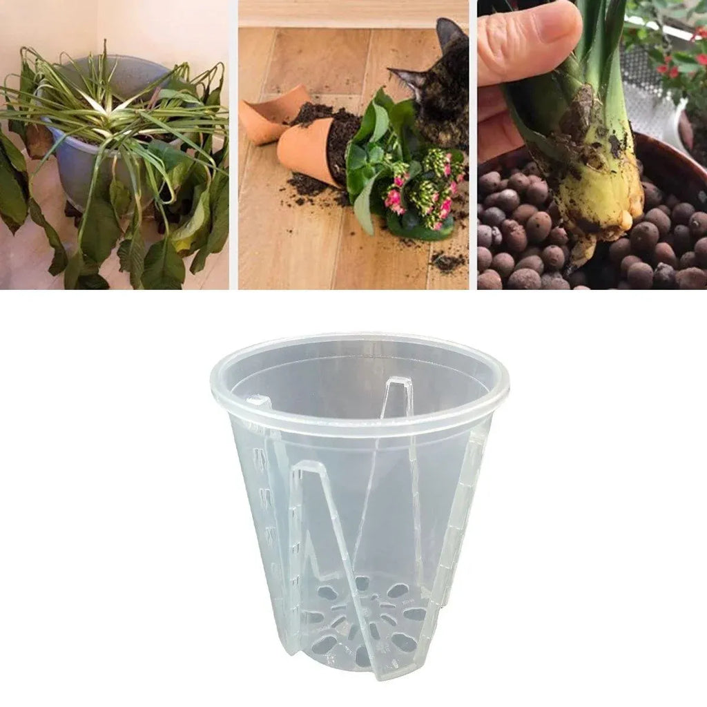 Clear Orchid Pots with Aeration Holes, 10 Pack