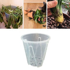 Clear Orchid Pots with Aeration Holes, 10 Pack