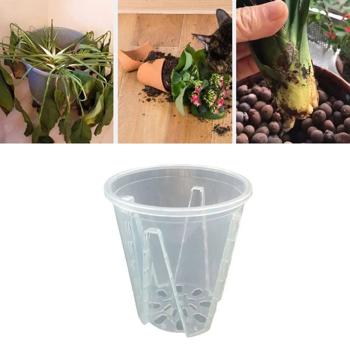 Clear Orchid Pots with Aeration Holes, 10 Pack