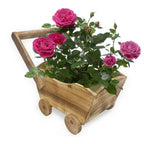 Wooden Cart Planter for Succulents & Small Plants