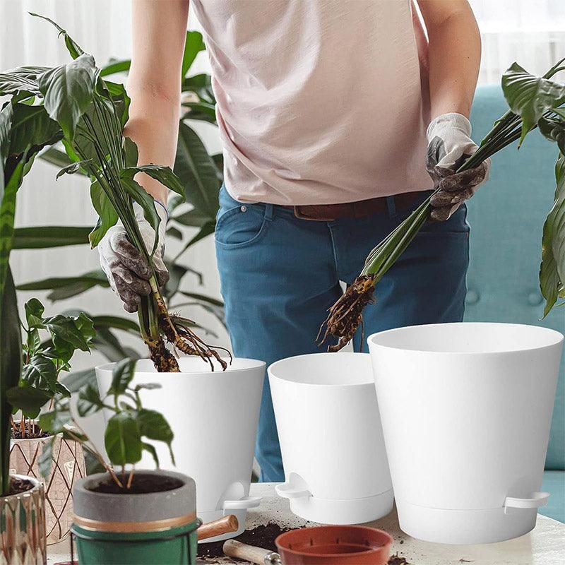 Self-Watering Plant Pots, Set of 5 – White