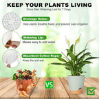 Self-Watering Plant Pots, Set of 5 – White