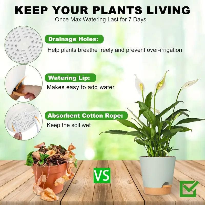 Self-Watering Plant Pots, Set of 5 – White