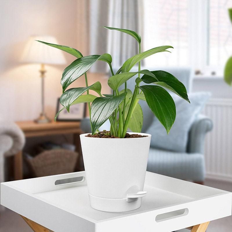 Self-Watering Plant Pots, Set of 5 – White
