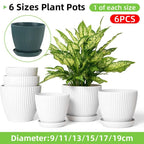 Striped Plastic Plant Pots with Saucers, 9–19 cm – Set of 6, White