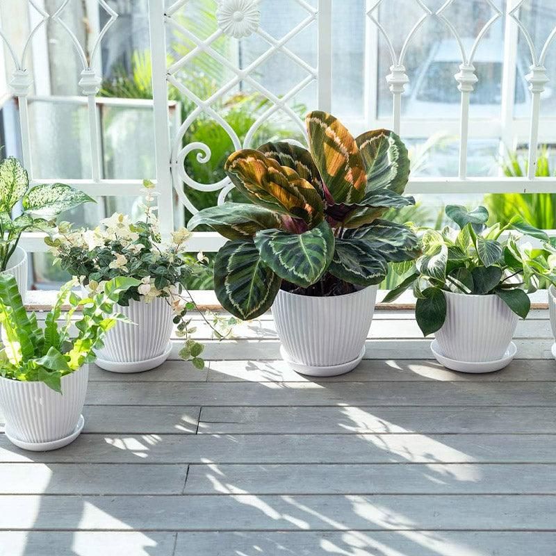 Striped Plastic Plant Pots with Saucers, 9–19 cm – Set of 6, White
