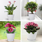 Striped Plastic Plant Pots with Saucers, 9–19 cm – Set of 6, White