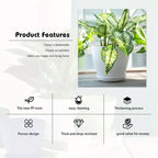 Striped Plastic Plant Pots with Saucers, 9–19 cm – Set of 6, White