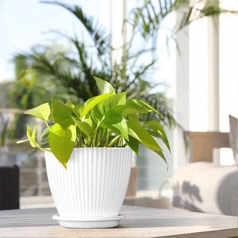 Striped Plastic Plant Pots with Saucers, 9–19 cm – Set of 6, White