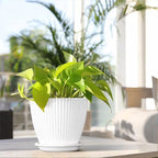 Striped Plastic Plant Pots with Saucers, 9–19 cm – Set of 6, White