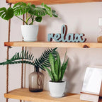 Striped Plastic Plant Pots with Saucers, 9–19 cm – Set of 6, White