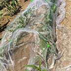 Insect-Proof Garden Netting 2.5 x 5 m – White