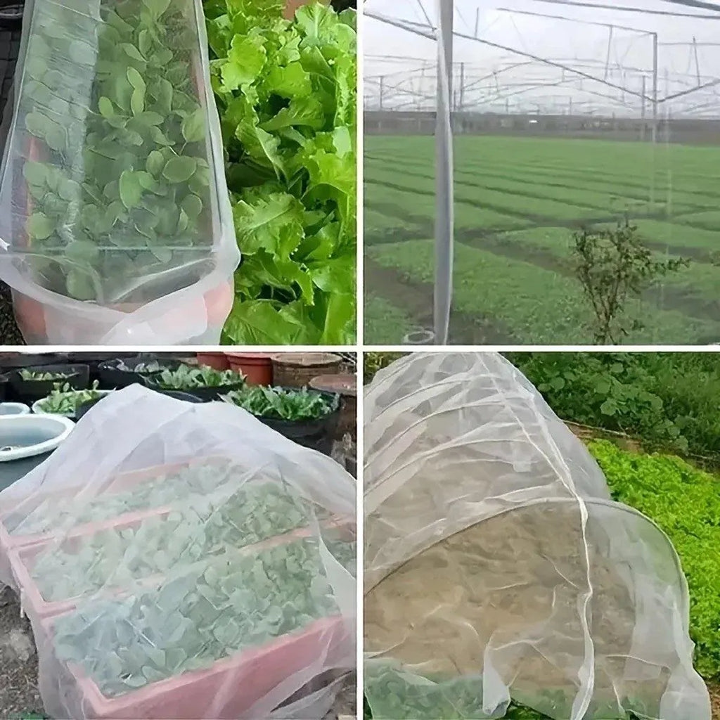 Insect-Proof Garden Netting 2.5 x 6 m – White