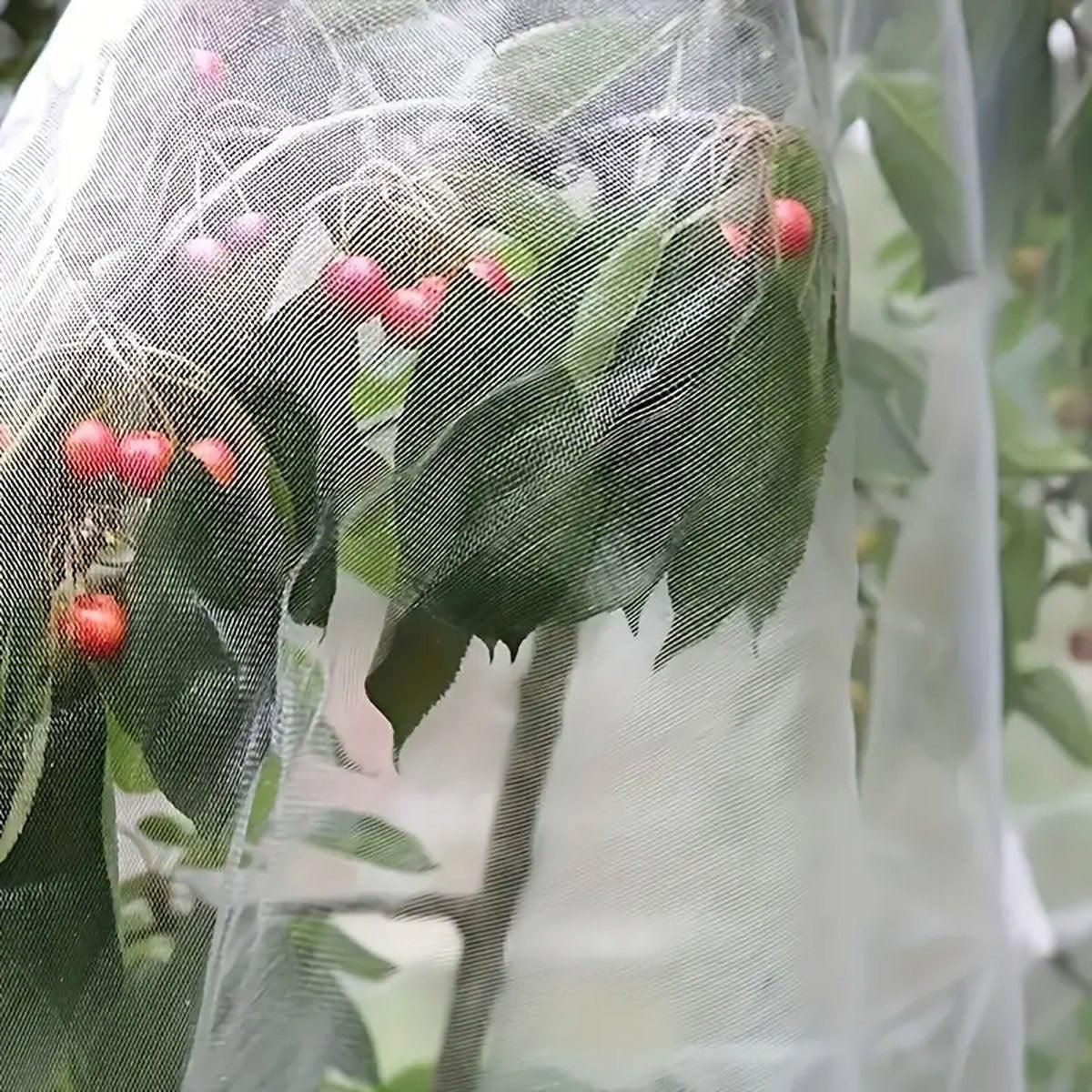 Insect-Proof Garden Netting 2.5 x 6 m – White