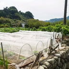 Insect-Proof Garden Netting 2.5 x 6 m – White