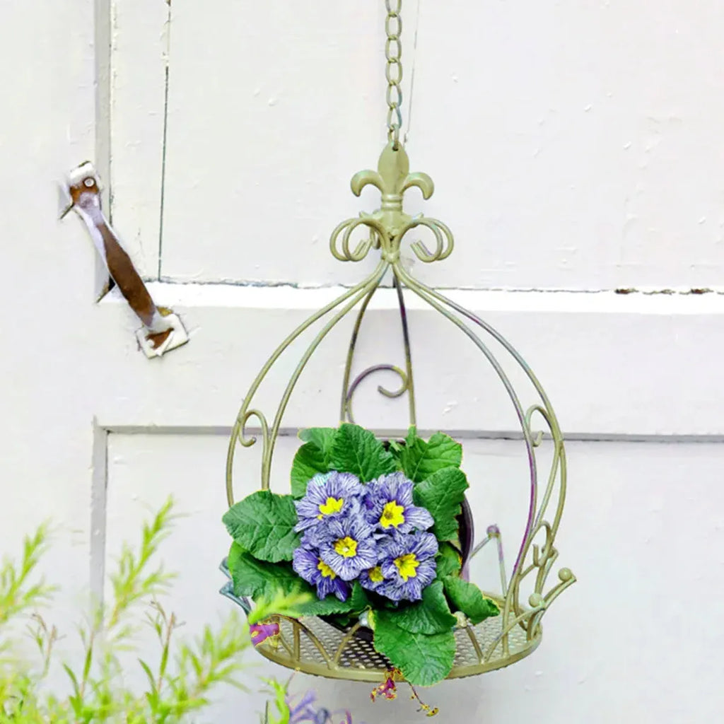 Vintage Wrought Iron Hanging Flower Basket with Chain, 25 cm