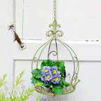 Vintage Wrought Iron Hanging Flower Basket with Chain, 25 cm