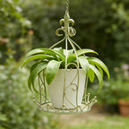 Vintage Wrought Iron Hanging Flower Basket with Chain, 25 cm