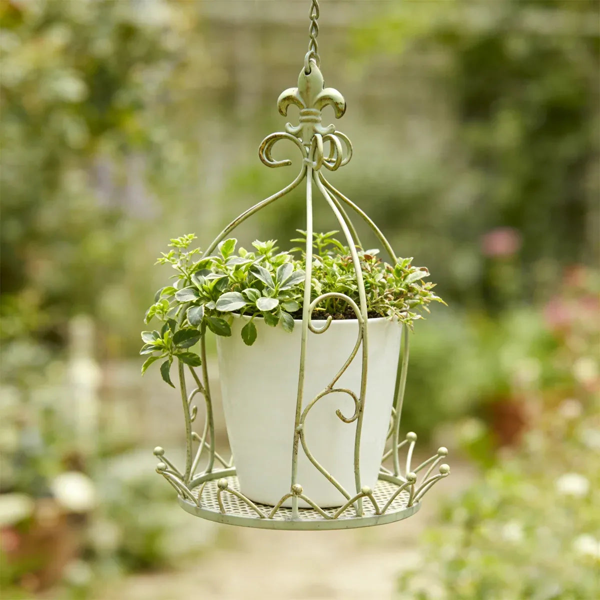 Vintage Wrought Iron Hanging Flower Basket with Chain, 25 cm