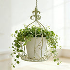 Vintage Wrought Iron Hanging Flower Basket with Chain, 25 cm