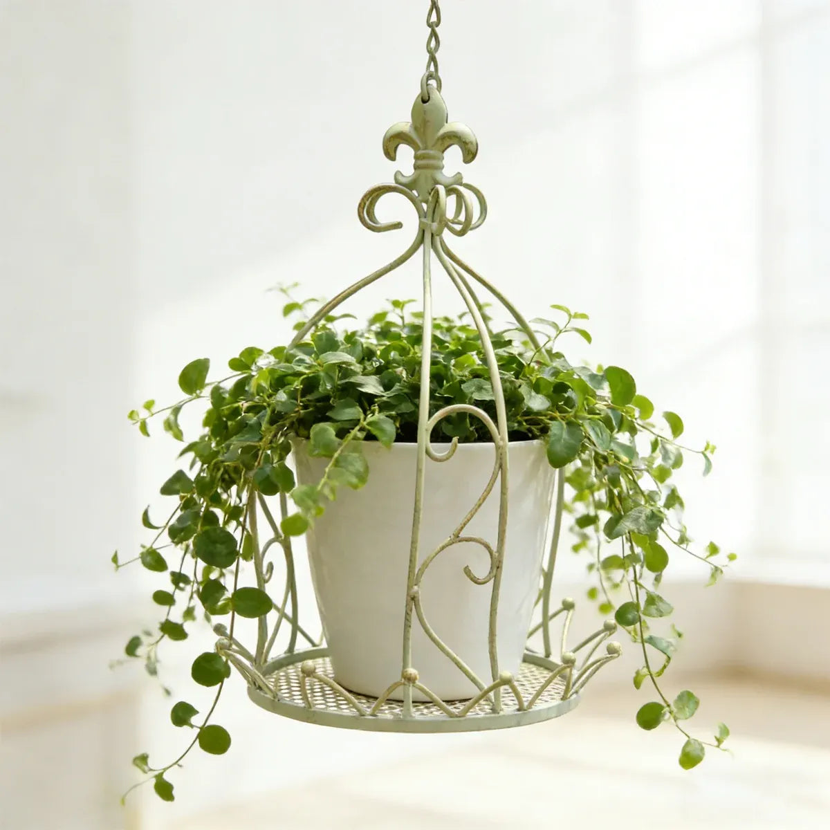Vintage Wrought Iron Hanging Flower Basket with Chain, 25 cm