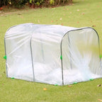 Small Greenhouse for Seedlings & Herbs 50 x 55 x 100 cm