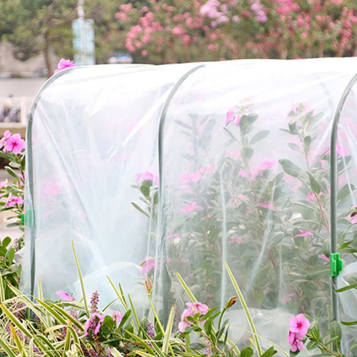Small Greenhouse for Seedlings & Herbs 50 x 55 x 100 cm
