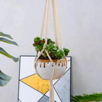 Macramé Plant Hangers for Indoor Pots – Set of 5