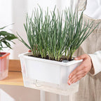 Self-Watering Balcony Planter for Herbs & Vegies – Green