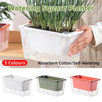 Self-Watering Balcony Planter for Herbs & Vegies – White