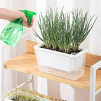 Self-Watering Balcony Planter for Herbs & Vegies – White