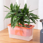 Self-Watering Balcony Planter for Herbs & Vegies – White