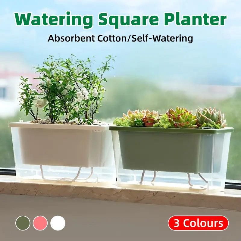 Self-Watering Balcony Planter for Herbs & Vegies – White