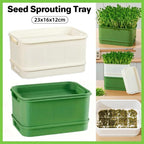 Self-Watering Seed Sprouting Tray, 23 x 16 cm – Green
