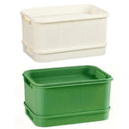 Self-Watering Seed Sprouting Tray, 23 x 16 cm – Green