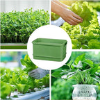 Self-Watering Seed Sprouting Tray, 23 x 16 cm – Green