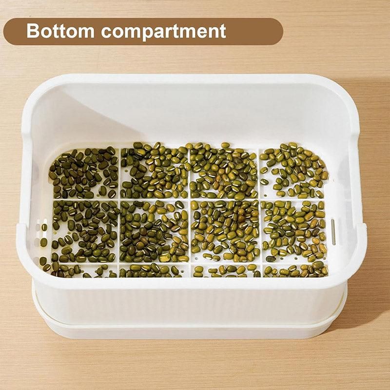 Self-Watering Seed Sprouting Tray, 23 x 16 cm – Green