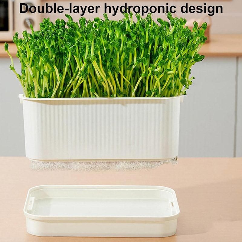 Self-Watering Seed Sprouting Tray, 23 x 16 cm – Green