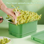 Self-Watering Seed Sprouting Tray, 23 x 16 cm – Green