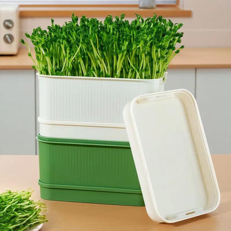Self-Watering Seed Sprouting Tray, 23 x 16 cm – Green