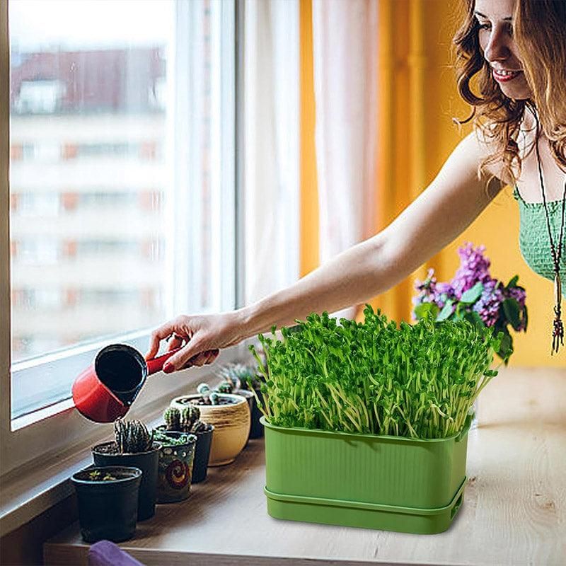 Self-Watering Seed Sprouting Tray, 23 x 16 cm – Green