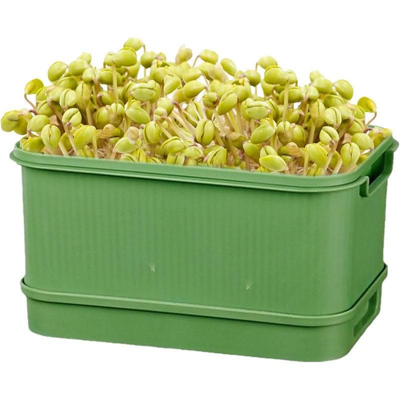 Self-Watering Seed Sprouting Tray, 23 x 16 cm – White