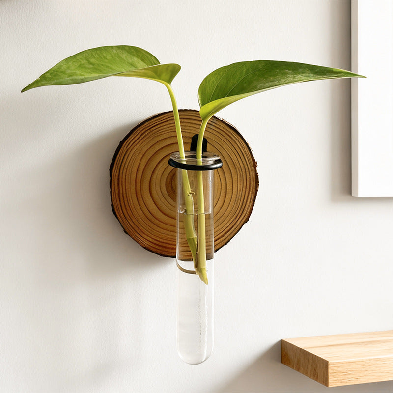 Wall-Mounted Test Tube Propagation Vase, 17 x 10 cm