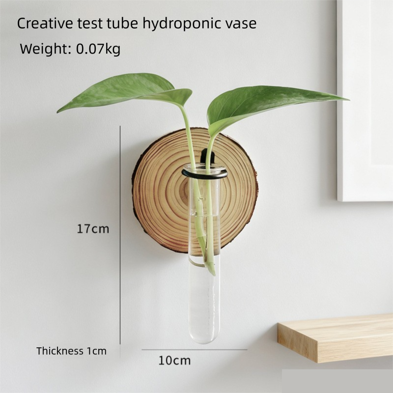 Wall-Mounted Test Tube Propagation Vase, 17 x 10 cm