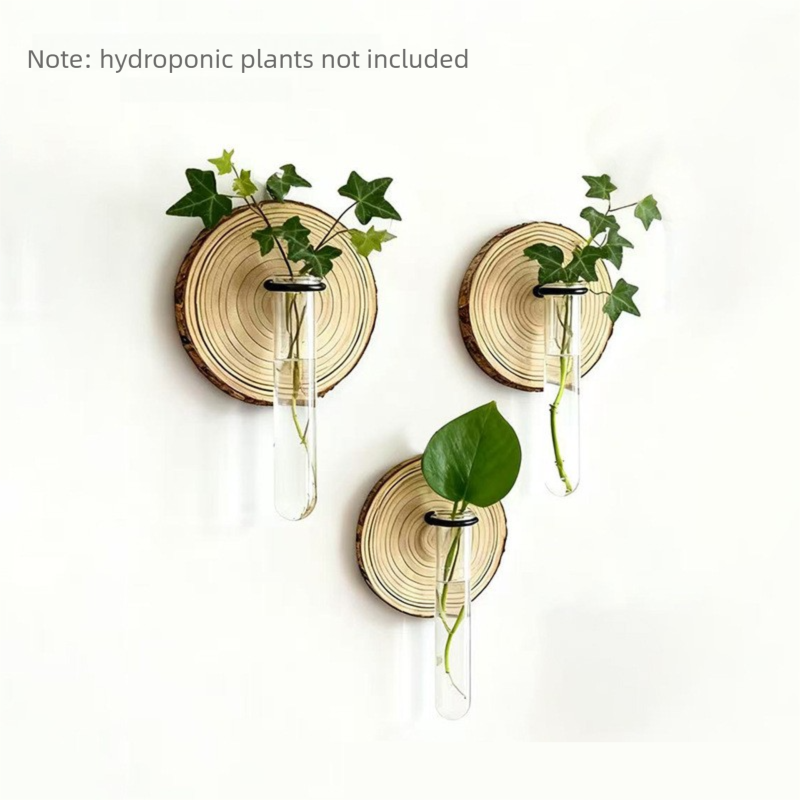 Wall-Mounted Test Tube Propagation Vase – Pack of 3