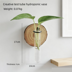 Wall-Mounted Test Tube Propagation Vase – Pack of 3