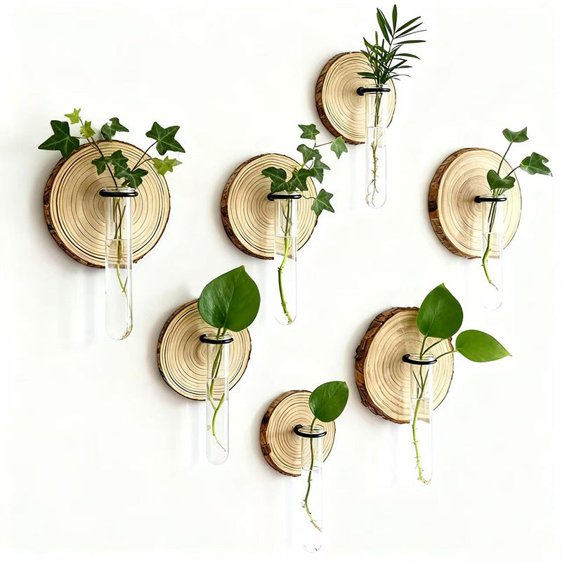 Wall-Mounted Test Tube Propagation Vase – Pack of 6
