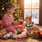 Christmas Knitted Pet Collar, Green Scarf & Hat – Dogs & Cats
