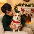 Christmas Knitted Pet Collar, Red Scarf & Hat – Dogs & Cats